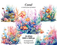 corals and fish in the ocean with watercolor paint by numbers on white background