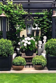 an outdoor area with potted plants and lights