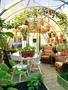 an indoor greenhouse with lots of potted plants on the tables and chairs in it