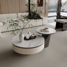 a living room filled with furniture and a plant in the middle of the room on top of a coffee table