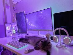 a cat laying on a desk next to two computer monitors with headphones around it