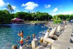 people are swimming in the water next to some concrete blocks and trees on the shore