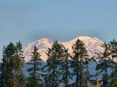 the snow covered mountain is in the distance