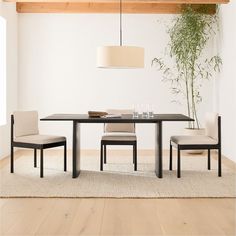 a dining table with two chairs and a plant in the corner next to it on a carpeted floor