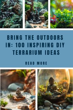 the cover of bring the outdoorss in - 100 inspiring diy terrarium ideas