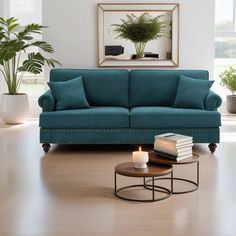 a living room with a blue couch, coffee table and potted plant in the corner