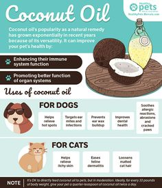 the benefits of coconut oil for dogs and cats info poster with instructions on how to use it