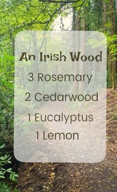 Cedarwood Diffuser Blends, Essential Oil Combinations, Natural Recipes, Essential Oil Diffuser Blends Recipes, Essential Oils Guide, Essential Oils Herbs, Oil Diffuser Recipes, Essential Oil Diffuser Recipes, Essential Oil Blends Recipes