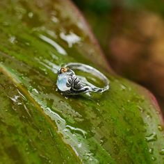 Moonstone Engagement Ring Daisy Valentine's | Etsy Delicate White Moonstone Ring In Sterling Silver, White Gemstone Flower Ring For Promise, Delicate Silver Moonstone Promise Ring, White Flower Ring With Gemstone For Promise, Nature-inspired Gemstone Flower Promise Ring, Nature-inspired White Promise Ring, White Nature-inspired Promise Ring, White Sterling Silver Nature-inspired Rings, Nature-inspired Sterling Silver Moonstone Promise Ring