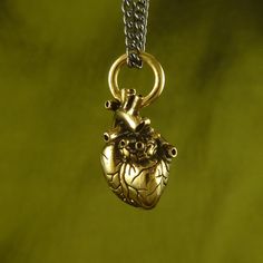 Small Gold Anatomical Heart Necklace - Goth Mall Anatomical Heart Pendant, Anatomically Correct Heart, Indie Tattoo, Anatomical Heart Necklace, Forever Gifts, Bronze Jewelry, Anatomical Heart, Gold Heart Necklace, Rings Cool