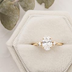 an engagement ring sitting on top of a white velvet box next to a leafy plant