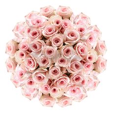 a large bouquet of pink roses on a white background