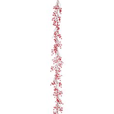 red berries are hanging from the side of a long branch on a white background with space for text