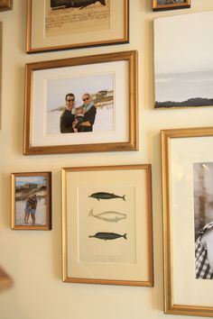 several framed photographs hang on the wall