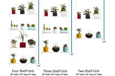 four shelves with plants on each shelf and two different types of potted plants in them