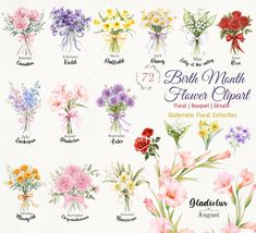 watercolor flower bouquet clipart collection - 12 different flowers and their names on white paper