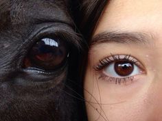 a close up of a woman's eye and a horse's face with long eyelashes