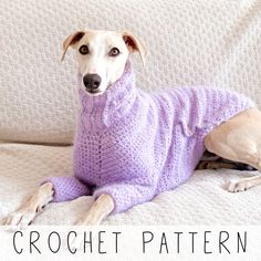 a dog wearing a purple sweater sitting on a white couch with the words crochet pattern written below it