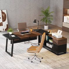 an office desk with two chairs and a book shelf in the corner, along with a potted plant