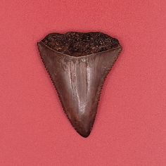 an animal's head is shown on a pink background with dirt in the shape of a cone