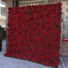 a large display of red flowers in front of a building