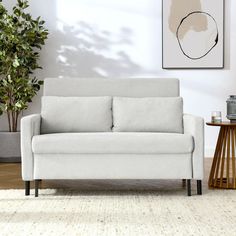 a living room with a white couch and potted plant on the side table next to it