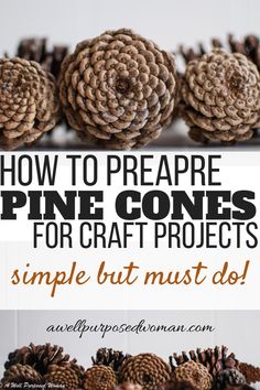 pine cones with text overlay that says how to prepare pine cones for craft projects simple but must do