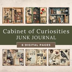 cabinet of curioities junk journal digital pages