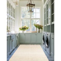 a washer and dryer in a room with blue cabinets, windows, and plants