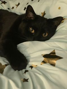 a black cat laying on top of a bed covered in gold star pillows and blankets