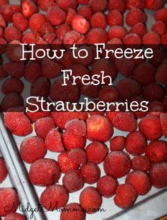 how to freeze fresh strawberries