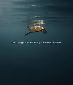 a turtle swimming in the ocean with a quote above it that reads, don't judge yourself through the eyes of others