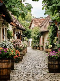 a cobblestone street lined with wooden barrels filled with flowers