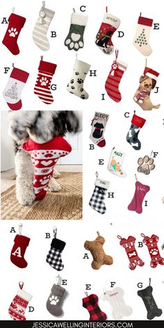 christmas stockings and stocking patterns for dogs