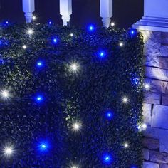 blue and white lights are on the side of a brick wall in front of some bushes