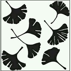 four ginknife leaves are shown in black and white on a square background