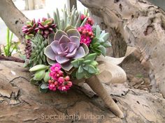 a bridal bouquet with succulents and pink flowers on a tree branch