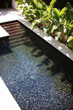 an outdoor pool with plants surrounding it and water running down the side walk to the back yard