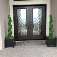 two potted plants on either side of the front door