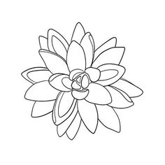 a flower that is black and white on a white background