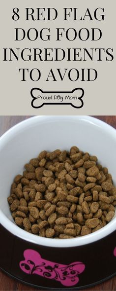 a bowl full of dog food with the words 8 red flag dog food ingredients to avoid