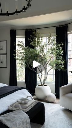 a bedroom with a tree in the corner