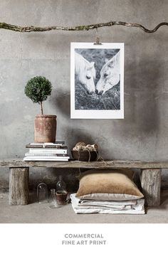 two white cats are kissing on the wall next to a bench and potted plant