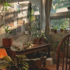 a dining room table with plants on the wall and pictures hanging up in the window