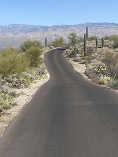 an empty road in the desert with cactus and cacti