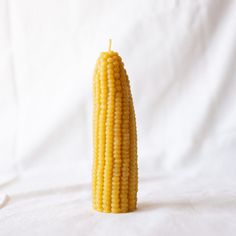 a corn cob on a white background with the kernel still in it's shell