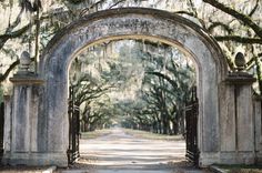 an old stone archway with trees lining the sides and moss hanging from it's sides