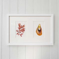 two framed pictures hanging on the wall next to each other, one with an orange leaf