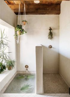 the instagram page for instagram is shown with an image of a shower and plants