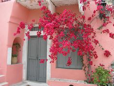 a pink building with red flowers growing on it's windows and shutters in front of the door